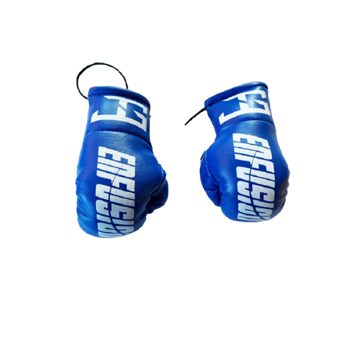 Mini-bokshandschoenen Blauw