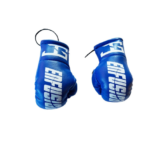 Mini-bokshandschoenen Blauw